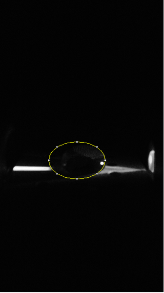 File:Negative PCR Drop.png