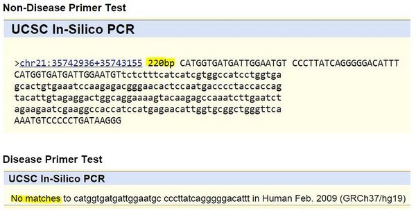 Description of image