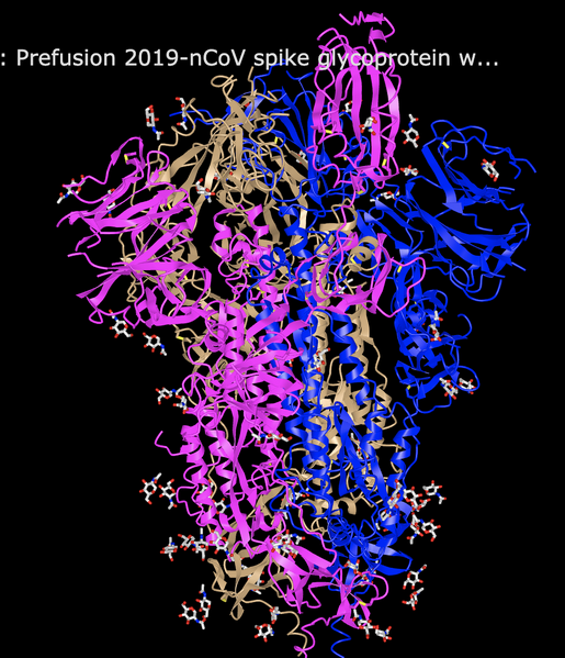 File:SP Wrapp Webbased3Dstructure.png