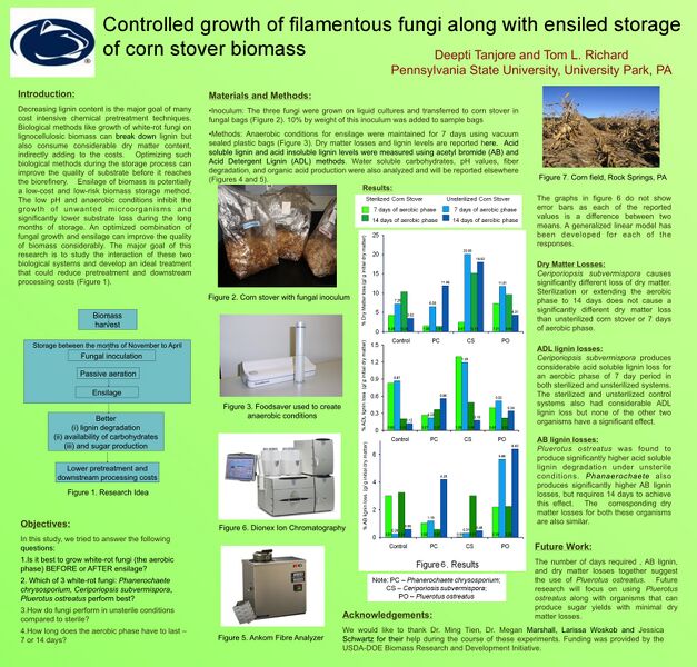 File:Tanjore.Fungi and biomass storage.jpg