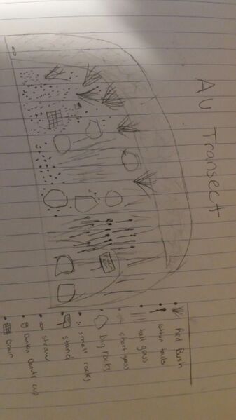 File:20150125 205228.jpeg