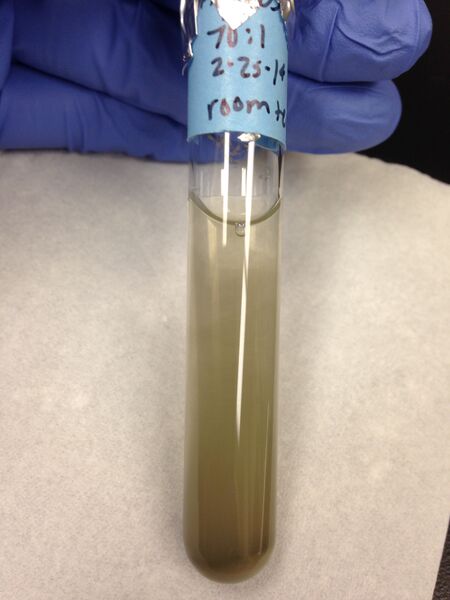 File:70 original.jpg