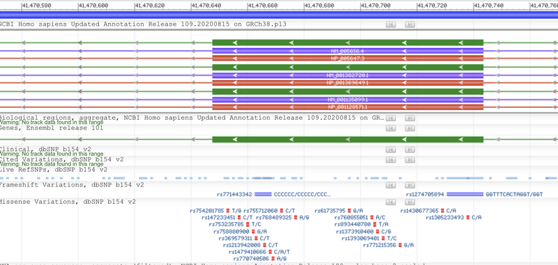 File:Exon11 DaMota.png