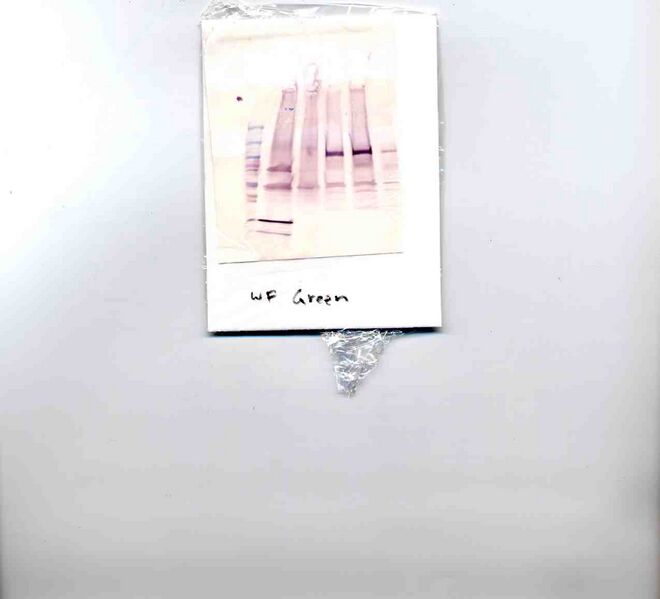 File:F08 M1D5 WF Grn.jpg