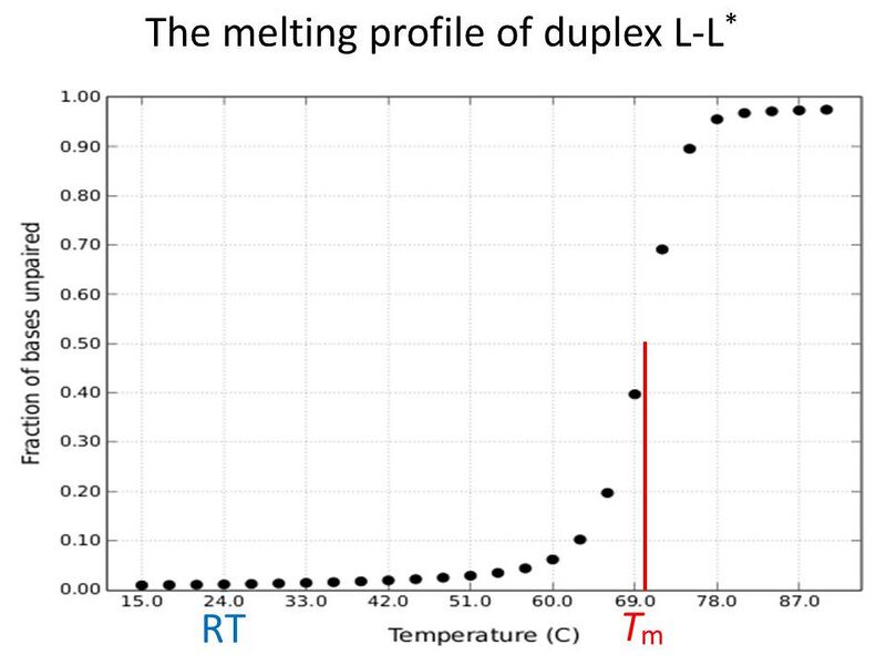 File:SeqA&seqAc2 melt.png