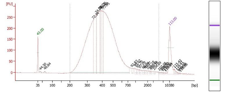 File:Sunbirds1 bioanalyzer.jpg