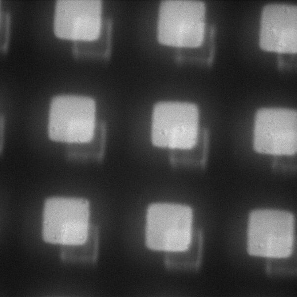 File:30 micrometer squares 40x air.jpg