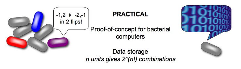 File:Dc practical.jpg
