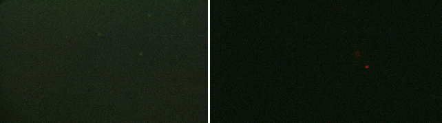 File:Mod3day4 figs.png