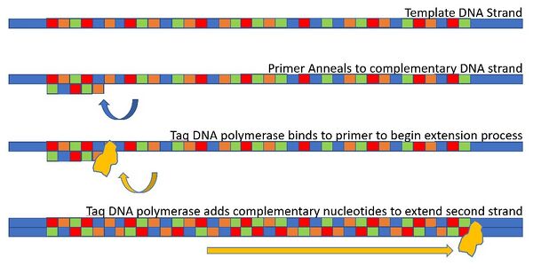 Description of image
