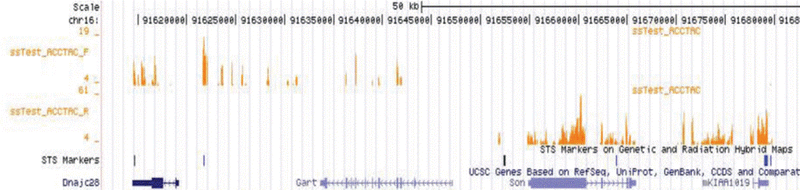File:BMC strandSpecific.gif