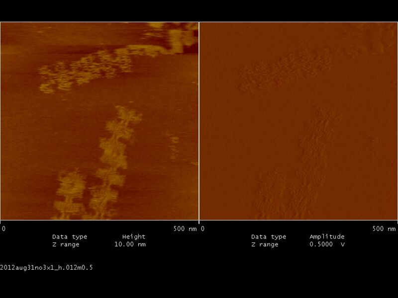 File:Biomod-2012-UTokyo-UT-Hongo-2012aug31no3x1 h.012m0.5.jpg