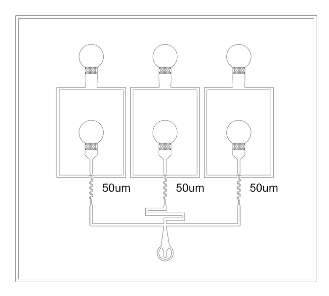 File:FF-triple 50.png