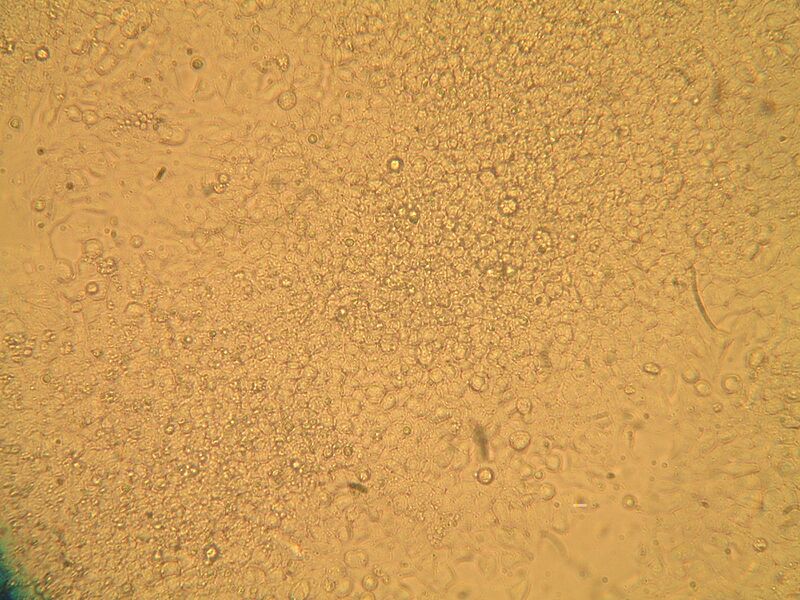 File:Mod2Day3Part1-3a