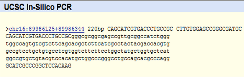 File:PCR-result1.png