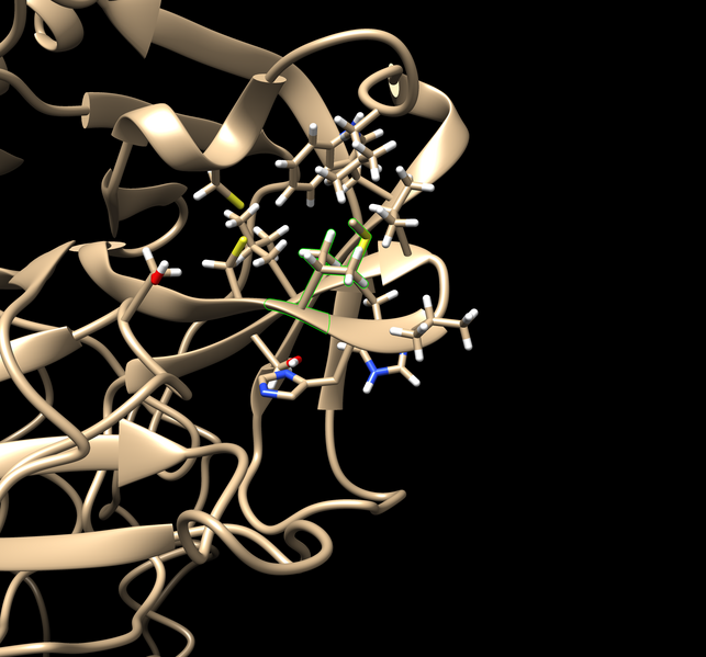 File:TMPRSS2 V280M.png