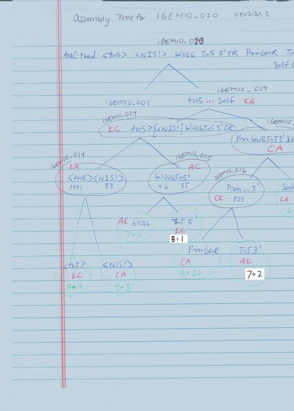 File:Assembly iGEM0020.jpg