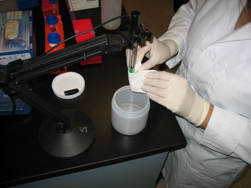 File:Drying2.jpg