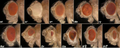 Thumbnail for version as of 00:36, 16 January 2008
