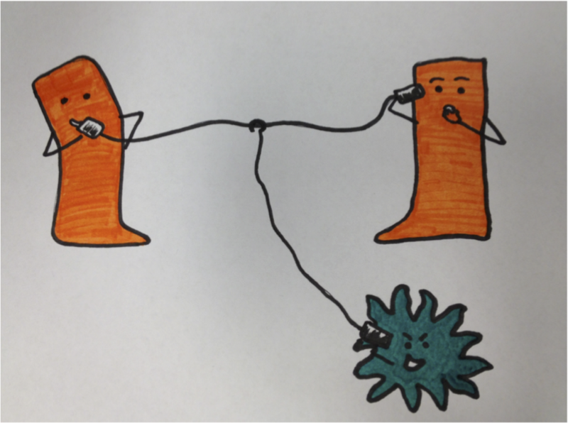 File:Quorum sensing drawing.png