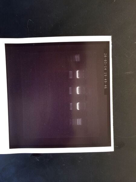 File:TR M2D4 gel1 S14.jpg