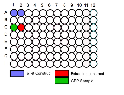 96 Plate Schematic