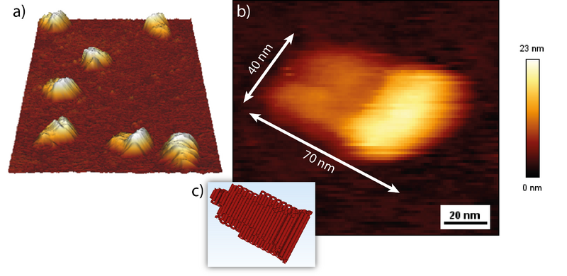 File:AFM-Scooter neu.png