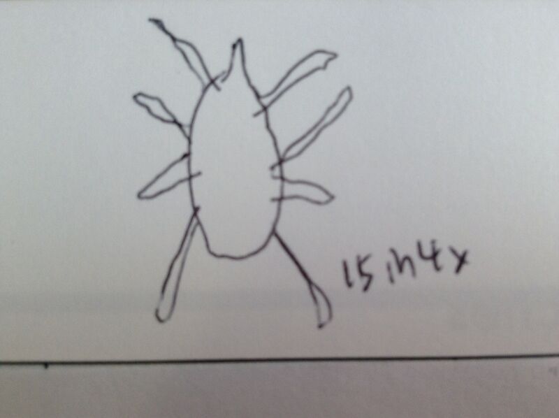 File:Chang Termite.JPG