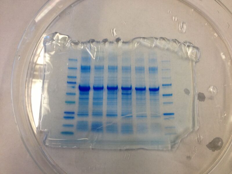 File:S13 M2D7 TR Red.JPG