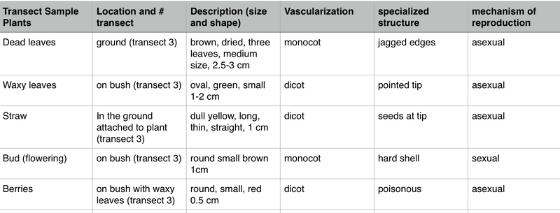 File:Screen Shot 2016-02-10 at 11.32.22 PM