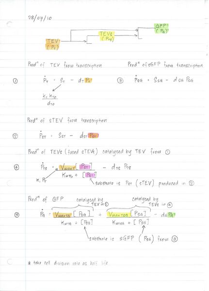File:Model output 020.jpg.jpg