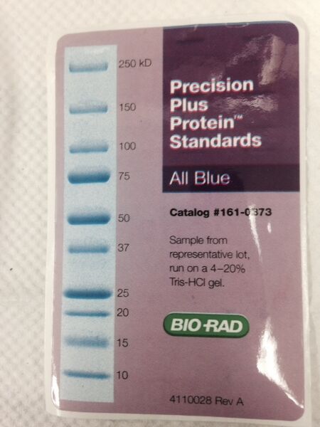 File:Precision Plus Protein.jpeg