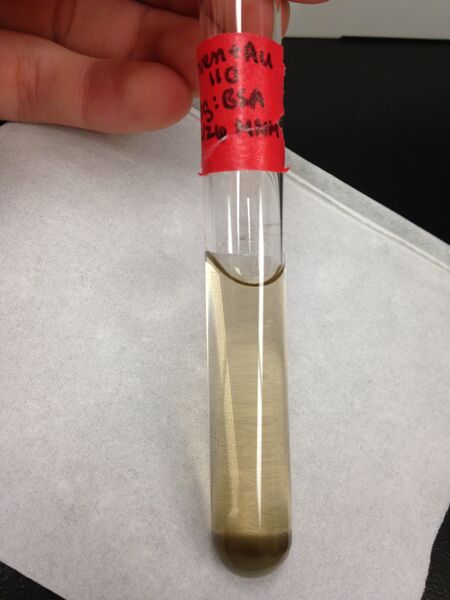 File:110, oven + Au.jpg