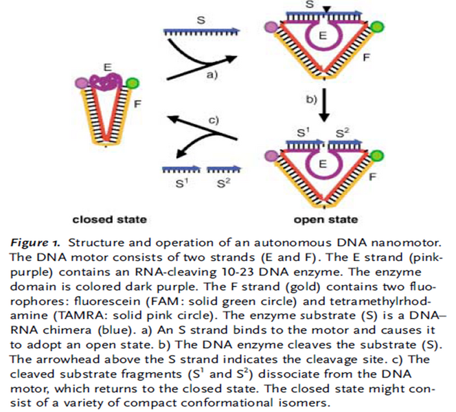 File:150622 LMS Nanomotor.png