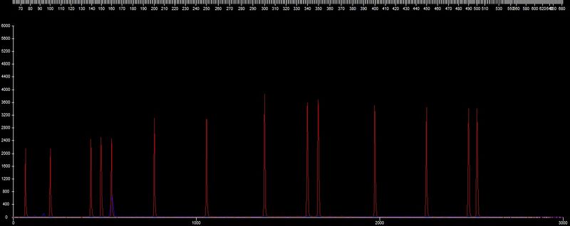 File:20110323 Frag RAJ-G.jpg