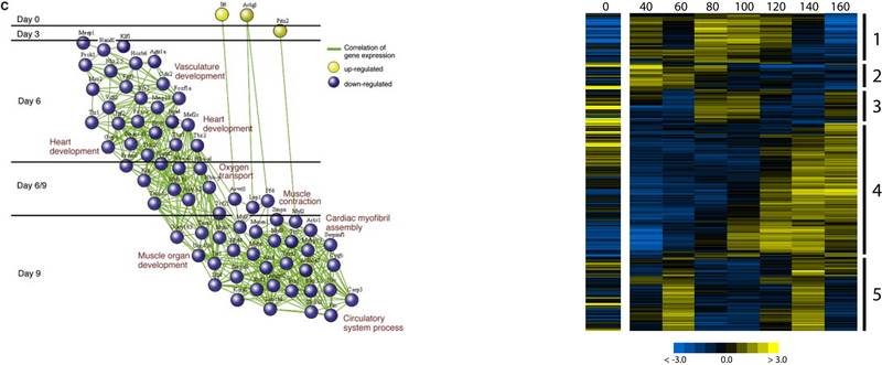 File:BMC informatics FunctionalAnalyses.png
