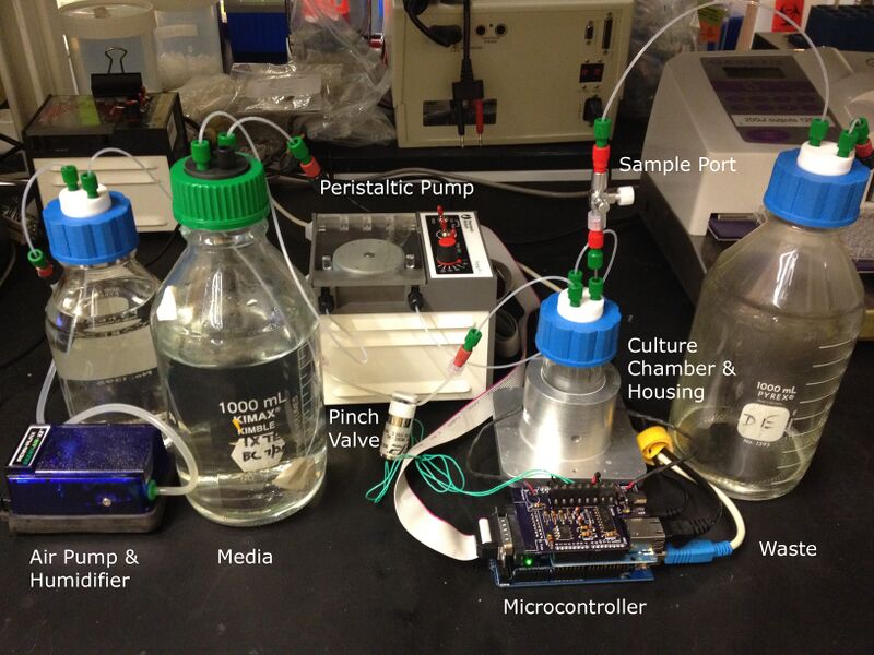 File:Evolvinator Picture.jpg