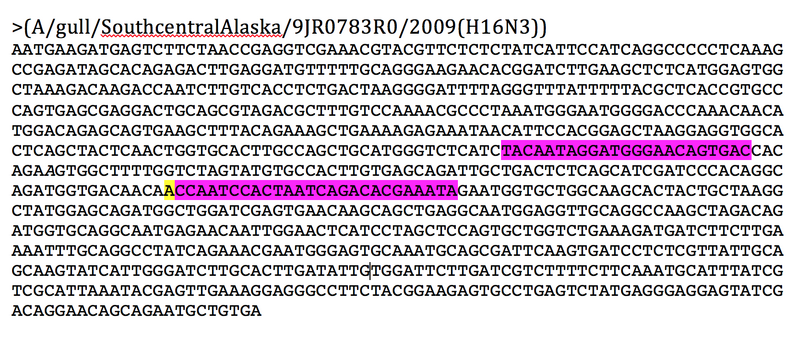 File:Orange primers.png