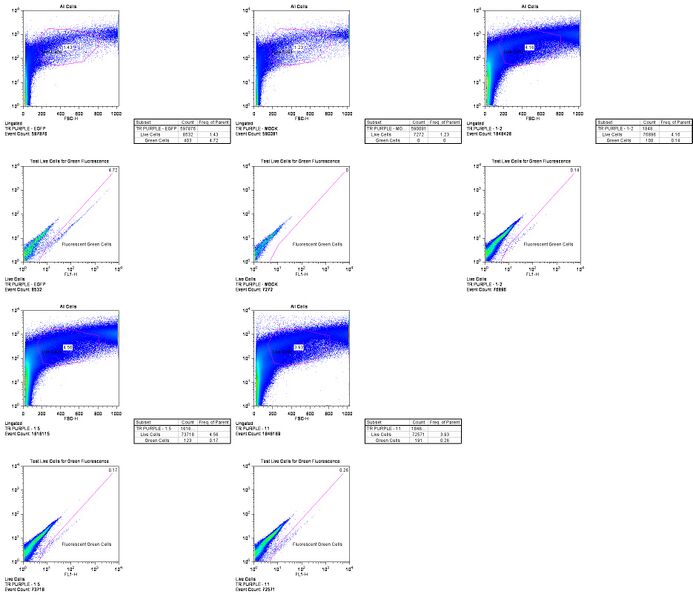 File:Purple TR Flow.jpg