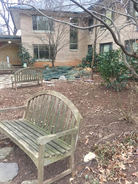 File:Transect -1.JPG