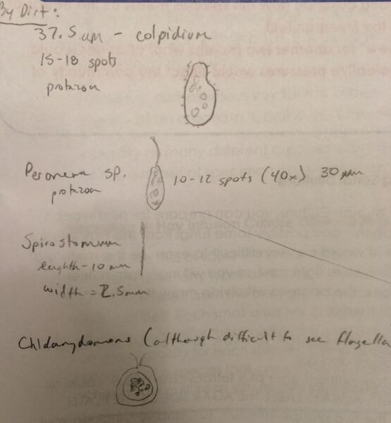 File:April Schattner - Observations by soil.jpg