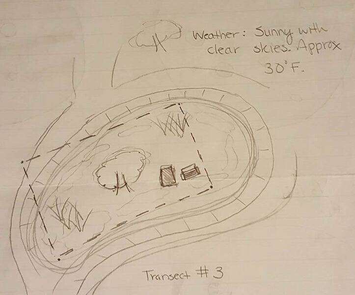 File:Transect 3 photo.jpg