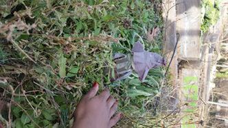 File:20160115 093045.jpg