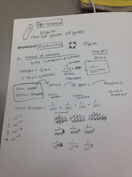 File:Photo copy.JPG