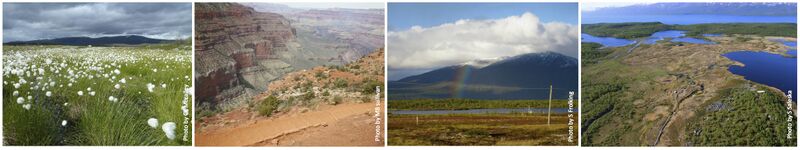 File:SWES-MEL top-banner.jpg