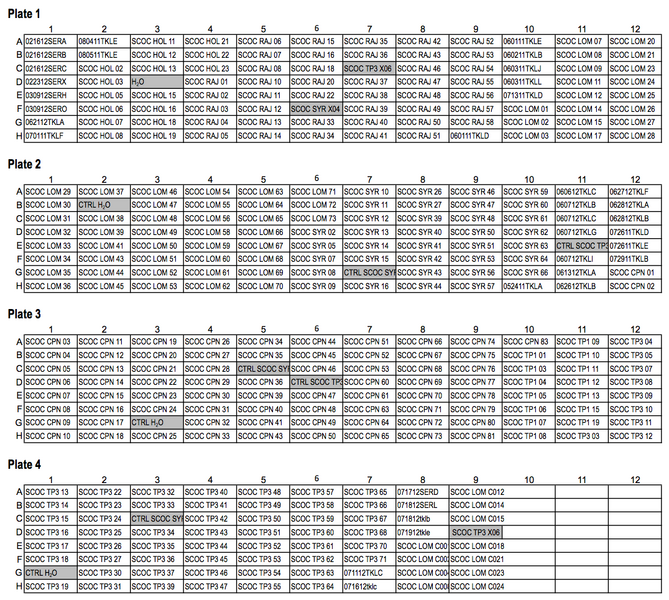 File:20130606 PCRa2.png