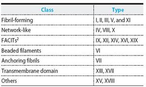 A table summarizing the collagen subtypes