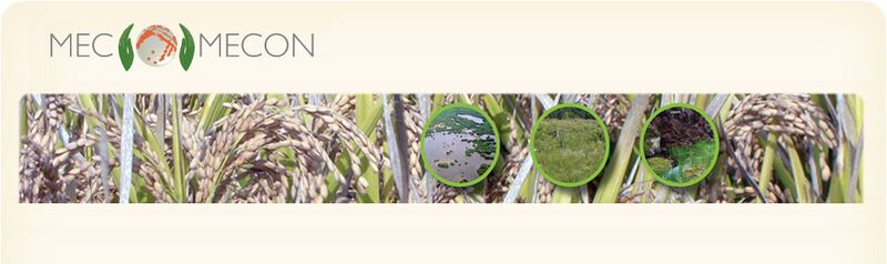 File:Mecomecon balk voor site.jpg