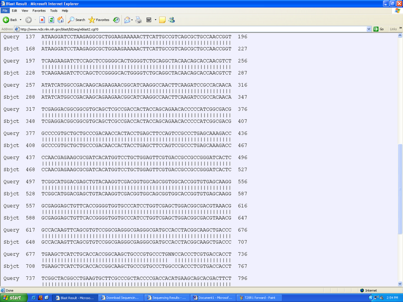 File:T28R2 forward.bmp