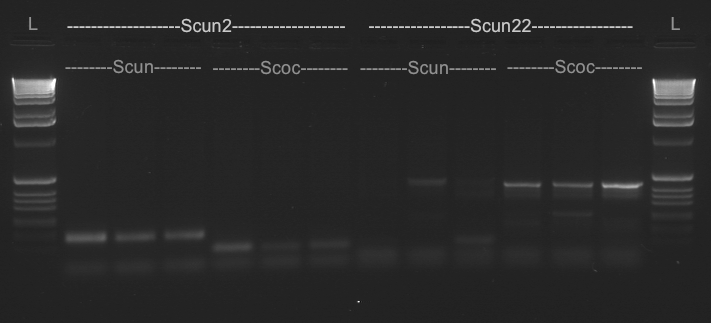 File:20110114 Full2.TIF